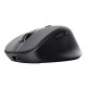 Trust Zevo ratón Universal mano derecha RF Wireless + Bluetooth Óptico 4000 DPI